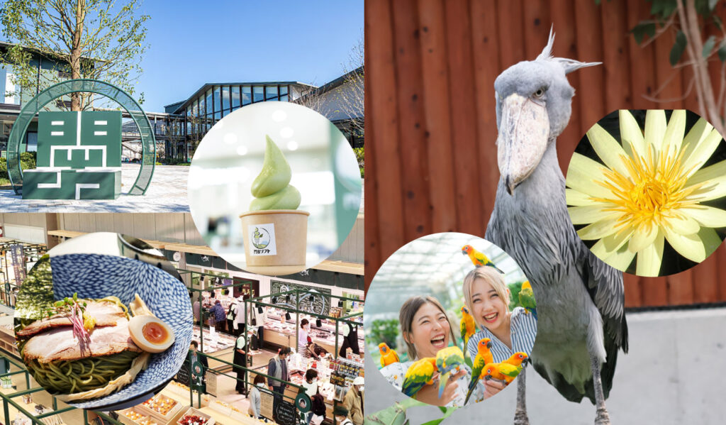 入場料込み！『掛川花鳥園』＆『KADODE OOIGAWA』さくっと静岡観光バスツアー