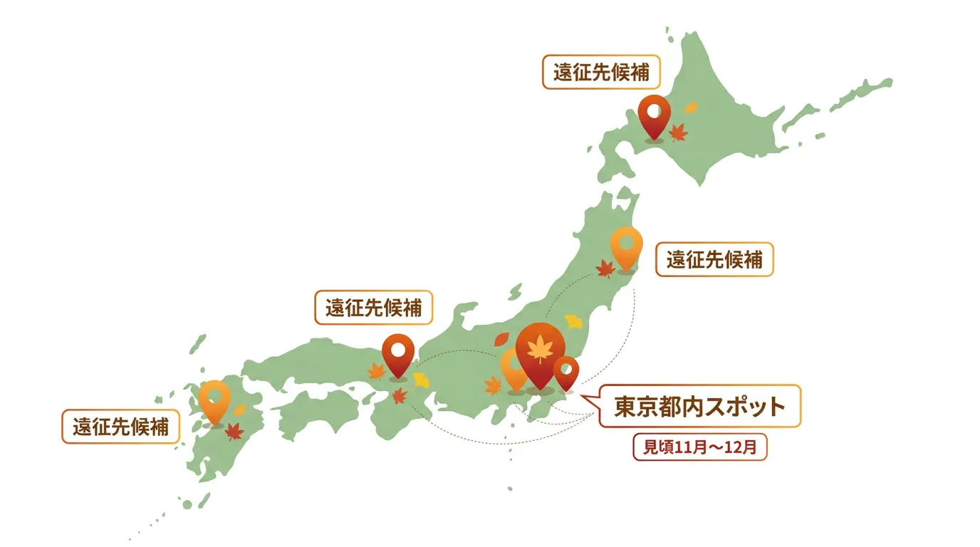 都内近郊と遠征先の紅葉スポットを示すマップ風イラスト